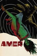 Amer(2009)