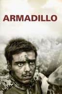 Armadillo(2010)