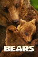 Bears(2014)