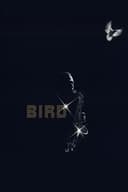 Bird(1988)