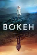 Bokeh(2017)