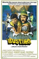 Busting(1974)