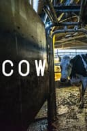 Cow(2021)