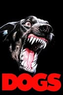 Dogs(1977)