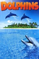 Dolphins(2000)