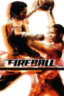 Fireball(2009)