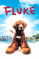 Fluke(1995)