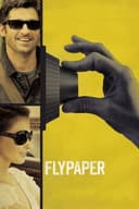 Flypaper(2011)