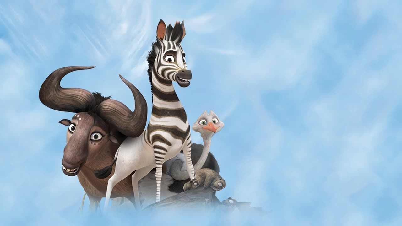 Half a zebra, a whole lot of adventure!