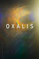 Oxalis(2018)