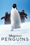 Penguins(2019)