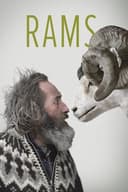 Rams(2015)