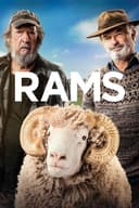 Rams(2020)