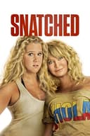 Snatched(2017)