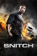 Snitch(2013)