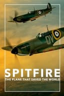 Spitfire(2018)