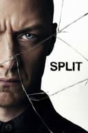 Split(2016)