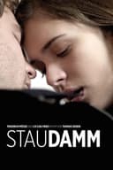 Staudamm(2013)