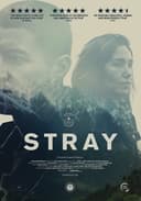 Stray(2018)