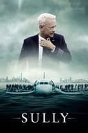 Sully(2016)