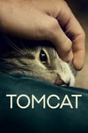 Tomcat(2016)