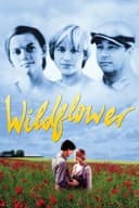 Wildflower(1991)